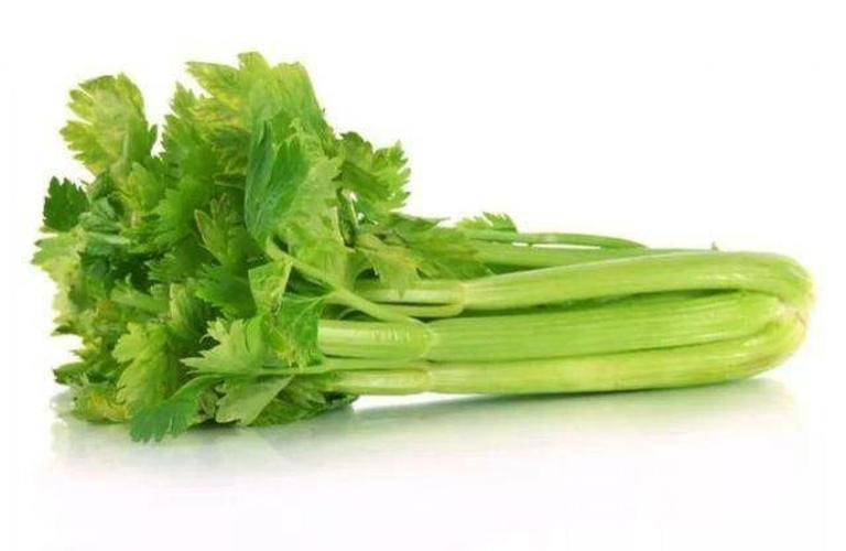 celery extract powderjpg